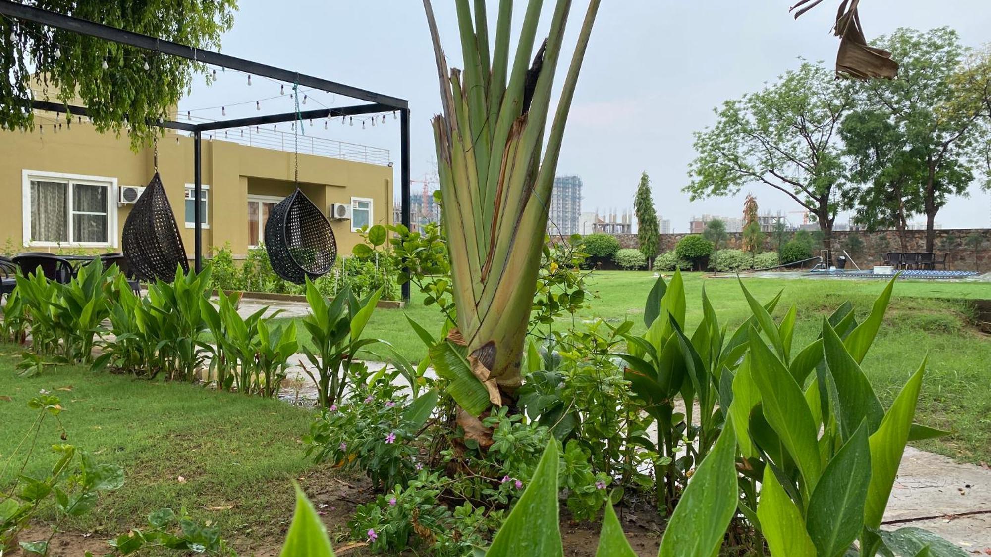 Raas Vilas - Boutique Farm House With Pool Taoru Exterior photo